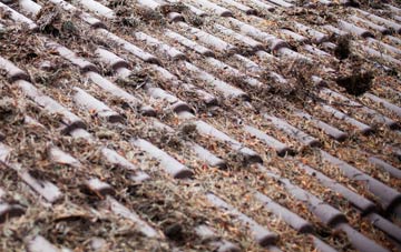 Leiston roof cleaning companies