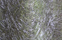 Leiston fibreglass roof work